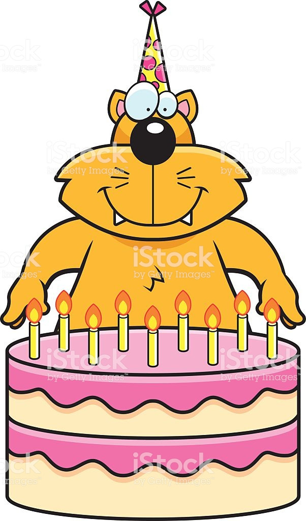 Geburtstagstorte Cartoon
 ic Katze Geburtstag Stock Vektor Art und mehr Bilder