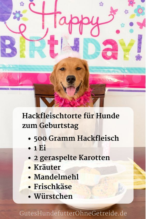 Geburtstagstorte Für Hunde Selber Backen
 Geburtstagstorte für Hunde selber backen Rezepte ohne