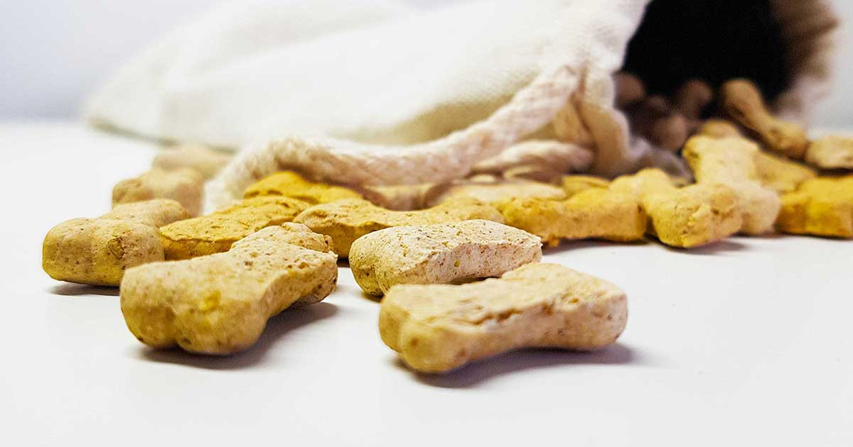 Geburtstagstorte Für Hunde Selber Backen
 Hundekekse selber backen furryfit Hunde Aktivitätstracker