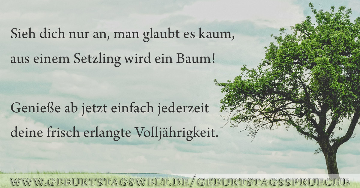 Geburtstagswünsche 18 Geburtstag
 l Sprüche zum 18 Geburtstag Glückwünsche & Gedichte zur