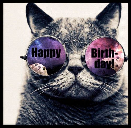 Geburtstagswünsche Cool
 Happy Birthday cool cat