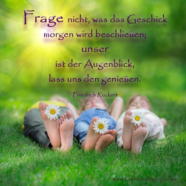 Geburtstagswunsche Bilder Eule