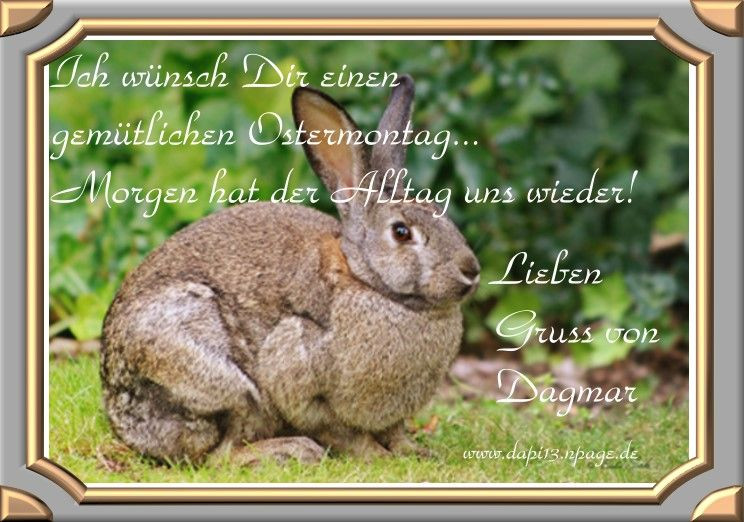 Geburtstagswünsche Französisch
 Geburtstagswünsche Hase