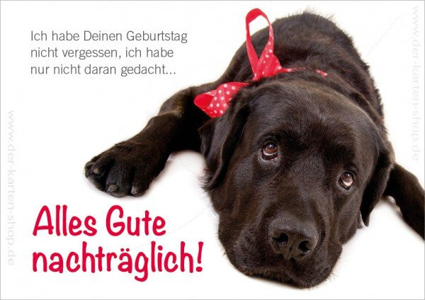 Geburtstagswünsche Hund
 35 Bilder mit dem Tag nachtraglich Alles Liebe zum