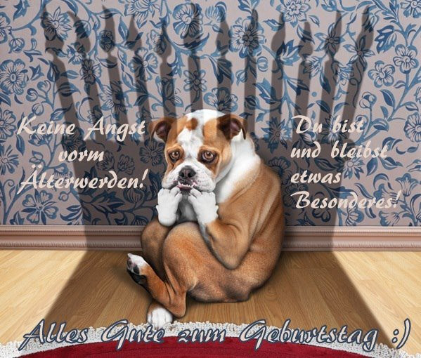 Geburtstagswünsche Hunde
 48 Bilder mit dem Tag hund Alles Liebe zum Geburtstag