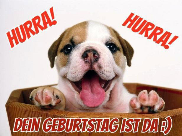 Geburtstagswünsche Hunde
 Lustige geburtstagsbilder Beste Geburtstagsbilder