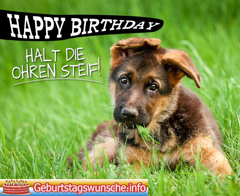 Geburtstagswünsche Hunde
 Geburtstagswünsche für Hunde Geburtstagswünsche für