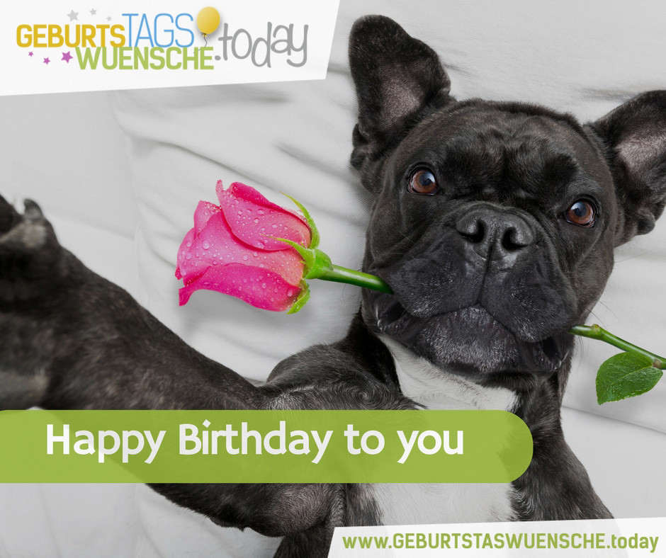 Geburtstagswünsche Hunde
 Geburtstagswünsche & Geburtstagsprüche Happy Birthday