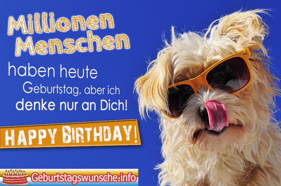 Geburtstagswünsche Hunde
 Geburtstagswünsche für Hunde Geburtstagswünsche für
