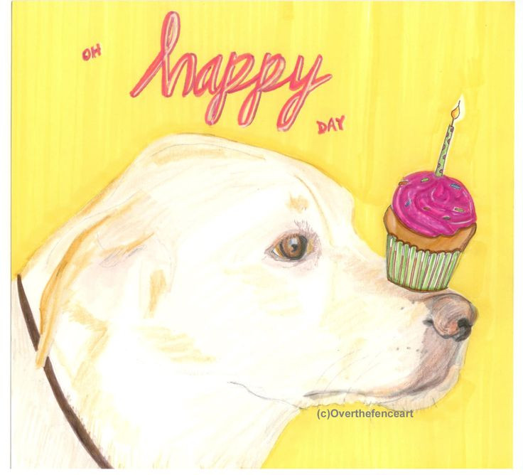 Geburtstagswünsche Hundeliebhaber
 Die besten 25 Geburtstagswünsche hund Ideen auf Pinterest