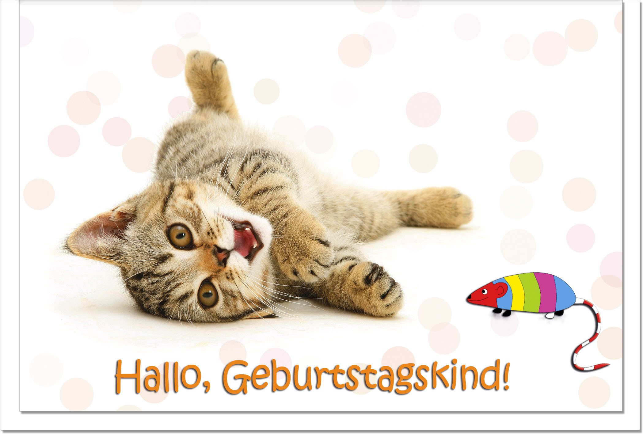 Geburtstagswünsche Katze
 Geburtstagskarten Grußkarten Geburtstag Katze mit Maus