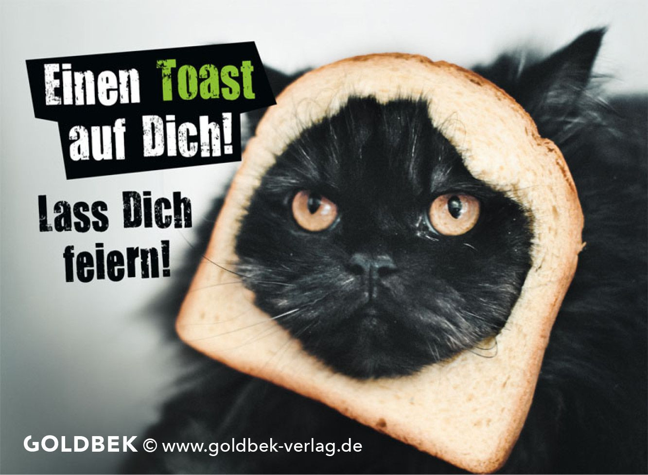 Geburtstagswünsche Katze
 Postkarten Geburtstag Humor Lustiges Katzen Motiv