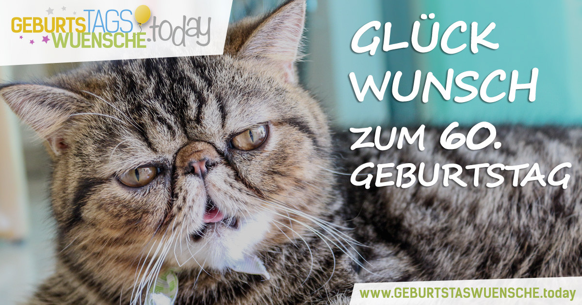 Geburtstagswünsche Katze
 Sprüche zum 60 Geburtstag lustiges Bild "Glückwunsch"