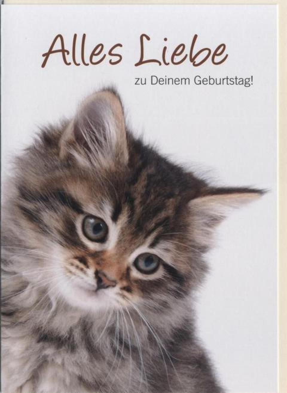 Geburtstagswünsche Lustig Tiere
 Geburtstagskarte Tiere Katze Alles Liebe zum Geburtstag