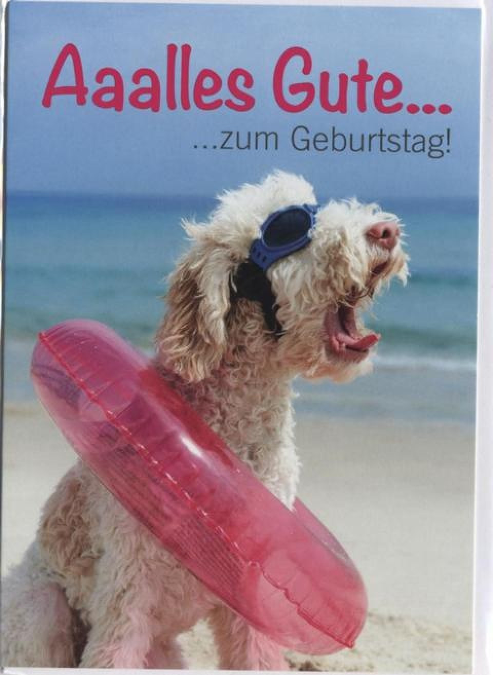 Geburtstagswünsche Lustig Tiere
 Geburtstagskarte Hund lustig Tiere Aaalles Gute zum