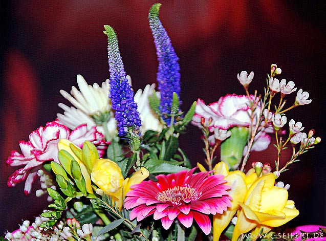 Geburtstagswünsche Mit Blumen
 Blumenstrauß Blumenbilder zum Geburtstag Blumenstrauß