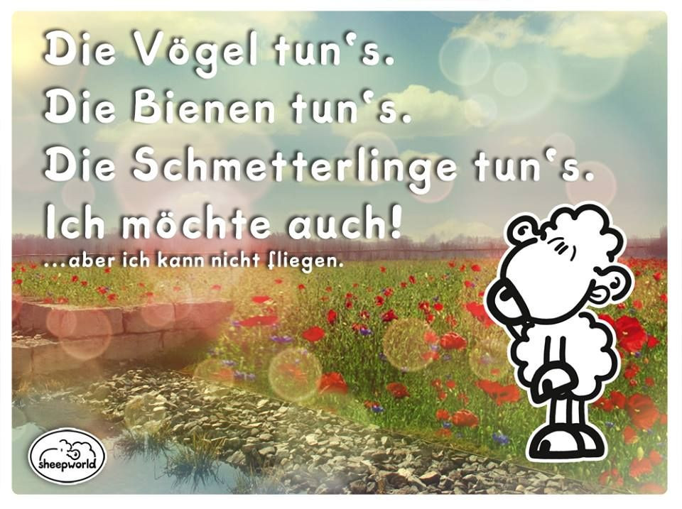 Geburtstagswünsche Schaf
Sheepworld Sheep World Grüße