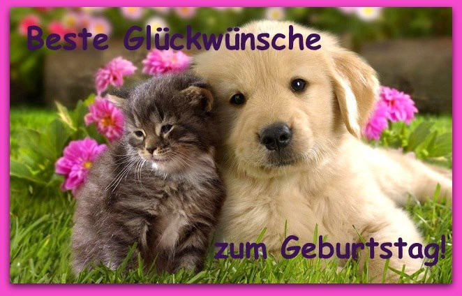 Geburtstagswünsche Tiere
 Alles Liebe zum Geburtstag Seite 36