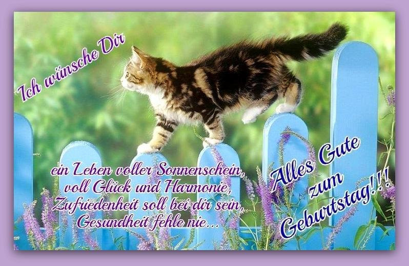 Geburtstagswünsche Tiere
 104 Bilder mit dem Tag blumen Alles Liebe zum Geburtstag