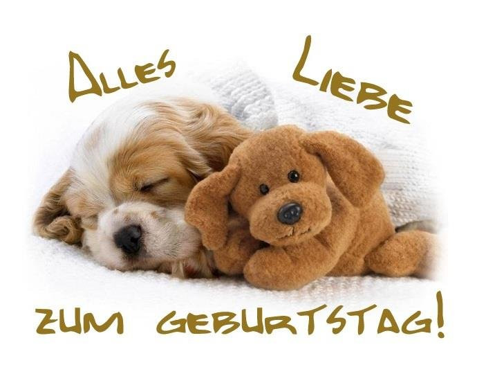 Geburtstagswünsche Tiere
 Alles Liebe zum Geburtstag 130 Alles Liebe zum Geburtstag