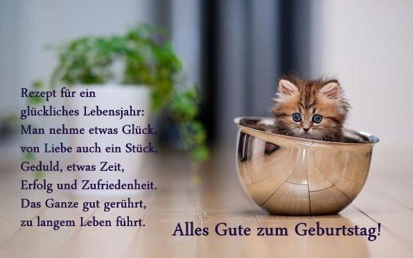 Geburtstagswünsche Tiere
 137 Bilder mit dem Tag tier Alles Liebe zum Geburtstag