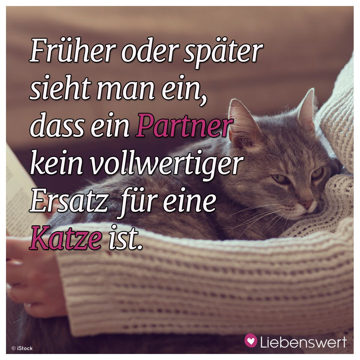 Geburtstagswünsche Tiere
 Sprüche für Tierliebhaber Katzen Pinterest