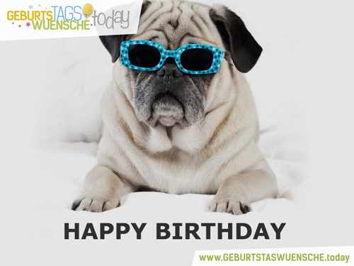 Geburtstagswünsche Tierisch
 Geburtstagssprüche Bild Cooler Hund
