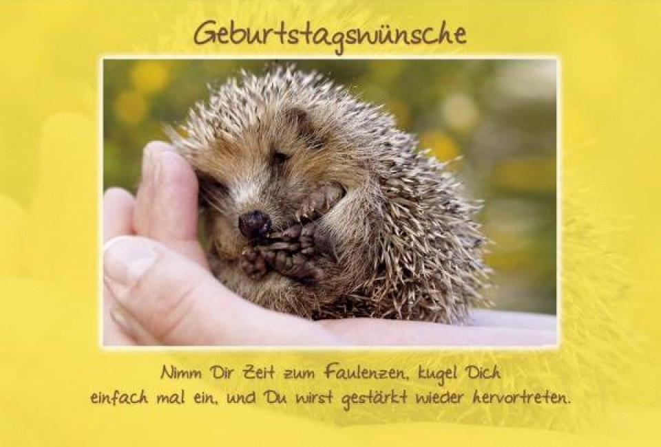 Geburtstagswünsche Zeit
 Schöne Geburtstagskarte Geburtstagswünsche Igel