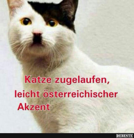 Geile Geburtstagsbilder
 Katze zugelaufen leicht österreichischer Akzent