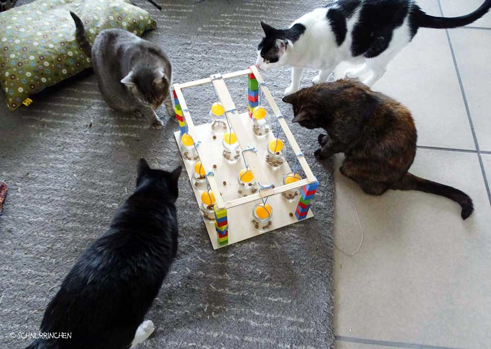 Geschenke Für Katzen
 10 kreative Geschenke für Katzen Schnurrinchen