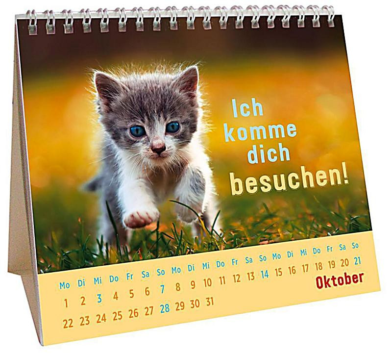 Geschenke Für Katzenfans
 Für kleine Katzenfans 2018 Kalender bei Weltbild