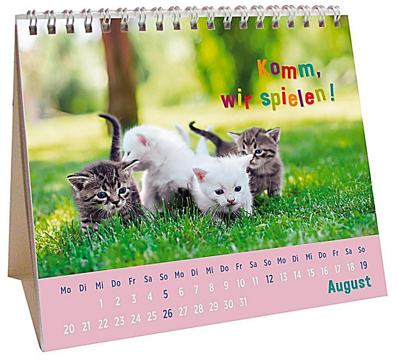 Geschenke Für Katzenfans
 Für kleine Katzenfans 2018 Kalender bei Weltbild