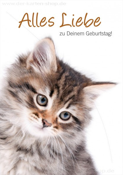 Geschenke Mit Katzen
 Doppelkarte Geburtstagskarte Glückwunschkarte Katze Alles
