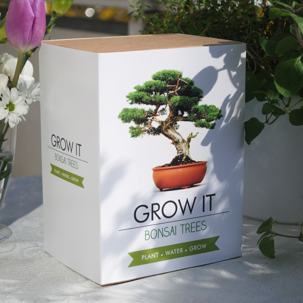 Geschenke Zum Rentenbeginn
 Pflanz Set Bonsai Bäume online kaufen