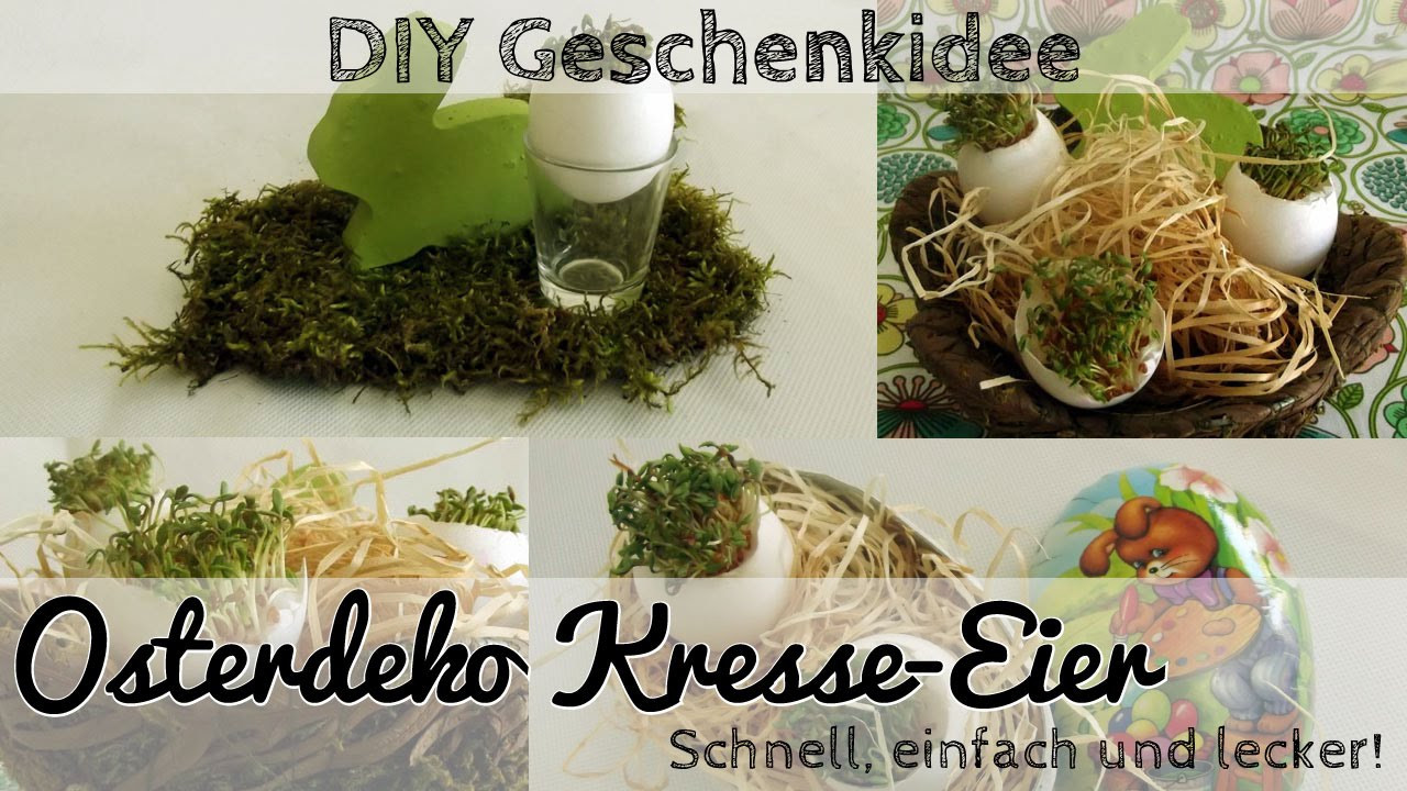 Geschenkideen Ostern
 DIY Osterdeko Kresse Ei Deko oder Geschenk für Ostern