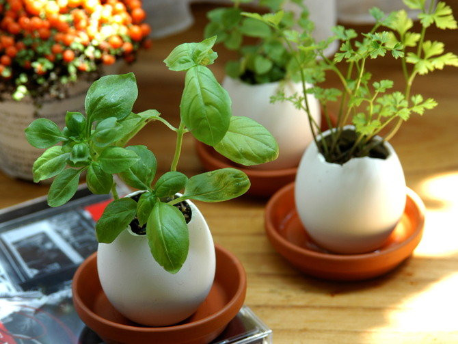 Geschenkideen Ostern
 Machen Sie Welt ein Stück grüner