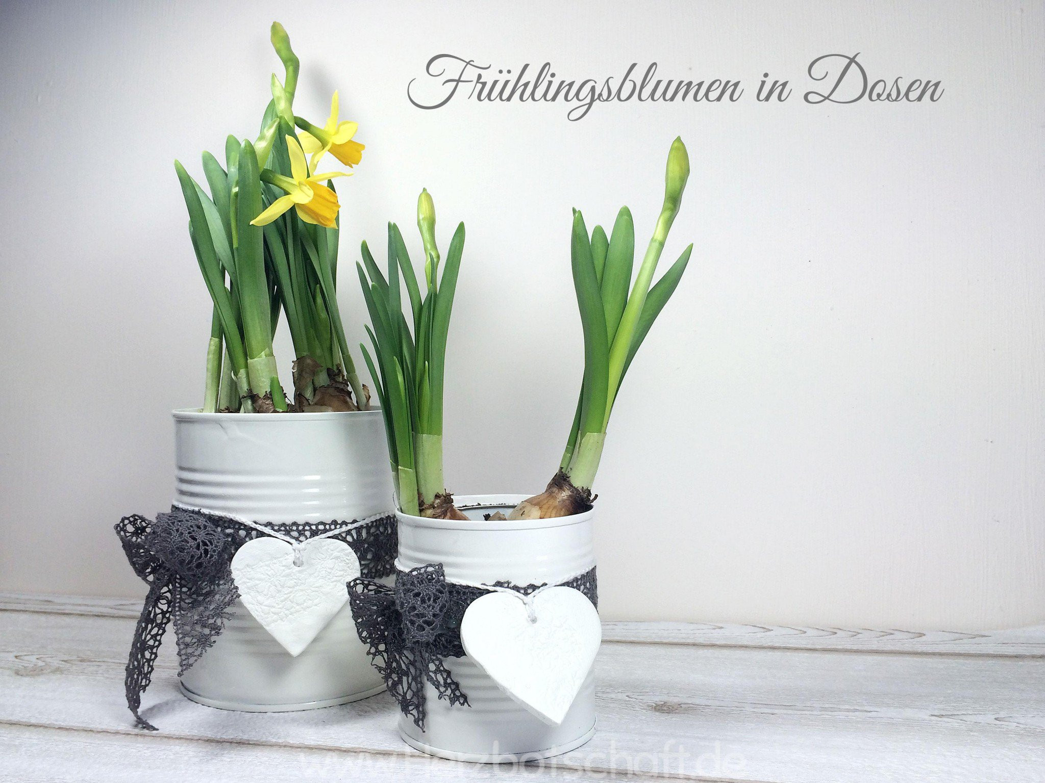 Geschenkideen Ostern
 Geschenkideen zu Ostern ♥ Herzbotschaft