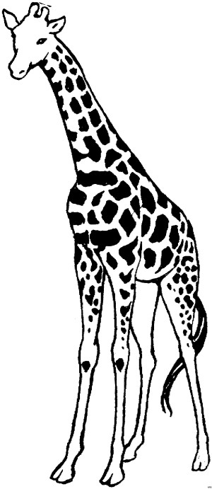 Giraffe Comic Malvorlagen
 Giraffe Gross Ausmalbild & Malvorlage Tiere