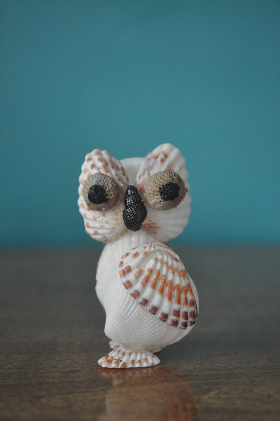 Handwerk Owl
 Broad Ribbed Cardita Seashell Owl by BCSeaShells on Etsy
