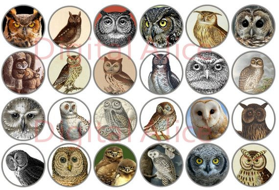 Handwerk Owl
 Eule Köpfe Owl steht Handwerk Circles viele Eulen