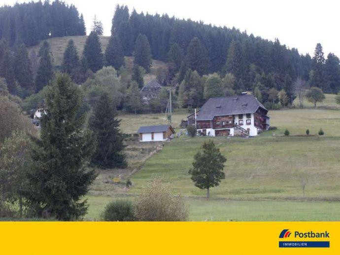 Haus Im Schwarzwald Kaufen
 Immobilien kaufen in Feldberg Schwarzwald Haus kaufen