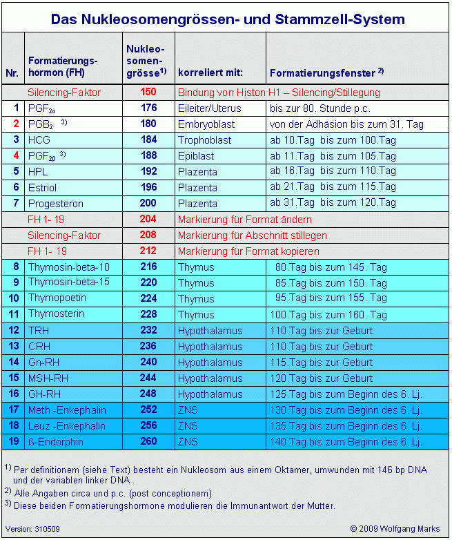 Hcg Tabelle
 Nukleosomensystem