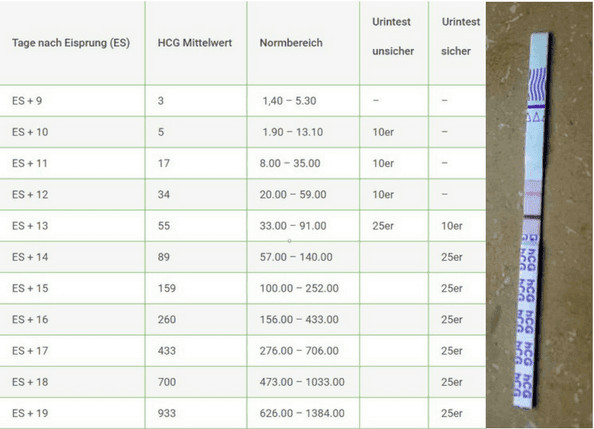 Hcg Werte Tabelle
 hCG Tabelle Urin & Blut Schwangerschaftstest ab wann möglich