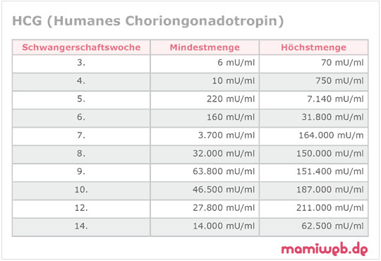 Hcg Werte Tabelle
 Humanes Chroiongonadotropin Hormon HCG Mamiweb