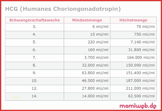 Hcg Werte Tabelle
 Thc Werte Im Blut Tabelle Fabelhafte Humanes