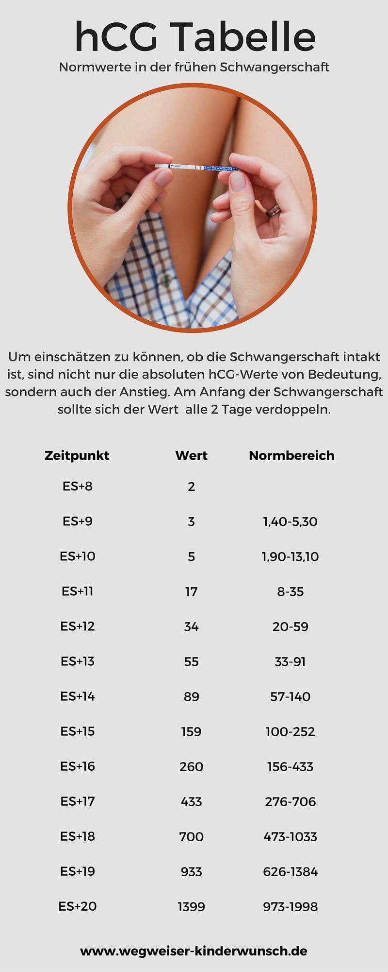 Hcg Werte Tabelle
 HCG Tabelle Normwerte in der frühen Schwangerschaft