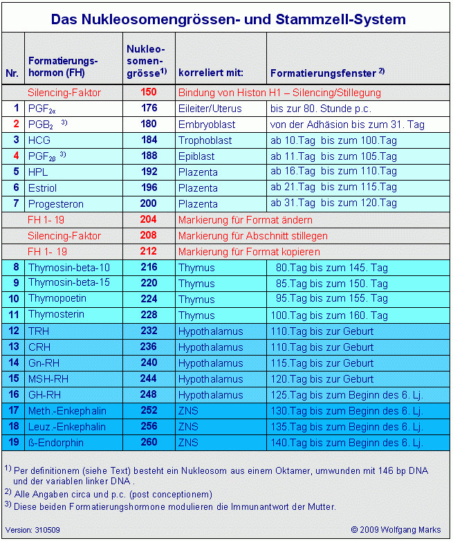 Hcg Werte Tabelle
 TEIL III Der Weg zur Transkriptionsschleife