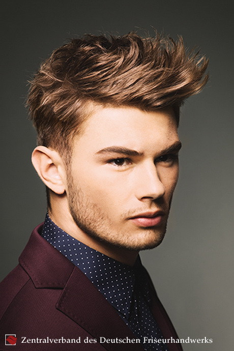 Herren Frisuren Lang
 Frisuren herren 2014