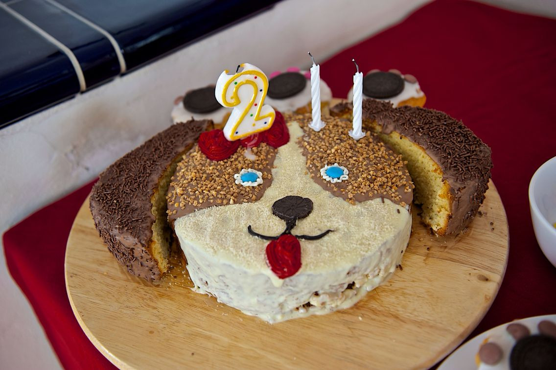 Hunde Geburtstagskuchen
 Geburtstagskuchen Hund Puppy birthday cake
