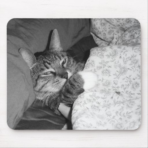 Katze Im Bett
 Lustige Katze im Bett Mousepad